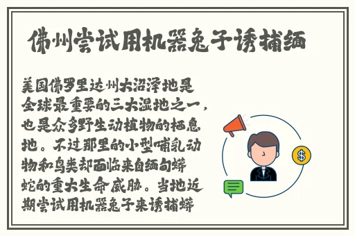 HD中国成熟IPhone